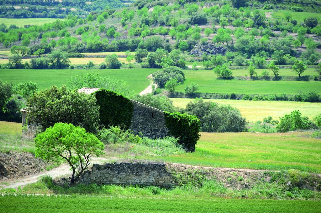Hostal Palouet De Segarra Luaran gambar
